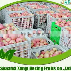 Fresh Fuji Apple, Good Appearance, Sweet Taste thumbnail-1
