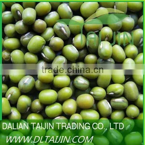 2011 Hight Quality Green Mung Bean for Sprout thumbnail-1