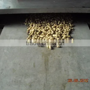 High Quality Conveyor Belt Microwave Peanuts Dryer and Roaster Machine thumbnail-2