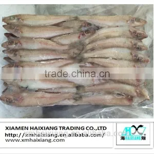 Frozen Silver Sillago Fish thumbnail-3