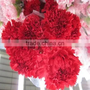 Good Quality Carnation Cut Flower Prices thumbnail-2