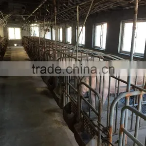 ^farming Equipment Galvanized Gestation /single Size Stall for Sows thumbnail-1