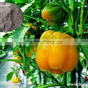 Gibberellin Amino Acids and Fulvic Acid Liquid Fertilizer thumbnail-6