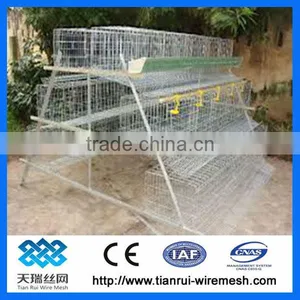 Automatic Chicken Layer Cage for Poultry House thumbnail-1