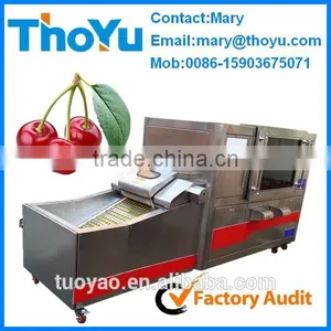 Durable Cherry Pit Separating Machine(SMS: 0086-15903675071) thumbnail-1