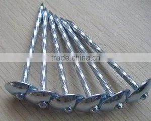 New Product Roofing Nail Made in China thumbnail-1