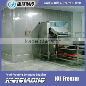 High Quality IQF Frozen Fruit Mango Machine With Good Price thumbnail-2