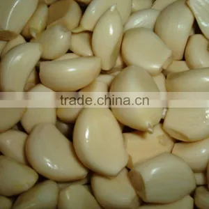 Garlic Separating Peeling Machine Processing Machine Production Line thumbnail-4