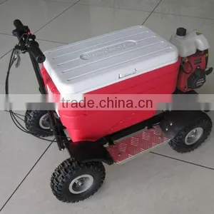Hot Sale Christmas Gift Gas Cooler Scooter 43CC SX-G110 From China thumbnail-3
