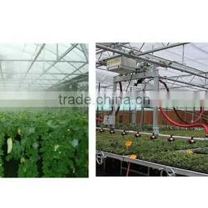 BaoLiDa pc Shed Greenhouse Hot-dip Galvanized Steel Pipe Structure for Roses thumbnail-2