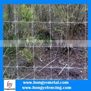 China Manufacturer Cheap Cattle Fence And Hinge Joint Field Fence( OEM&ODM ) thumbnail-6