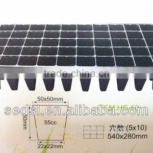 Hydroponics Plant Germination System Using Plastic Germination Trays With Plants in Rockwool thumbnail-1