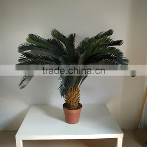 Decorative Sago Cycas Cycas Revoluta Artificial High Simulation Cycads Plant thumbnail-2