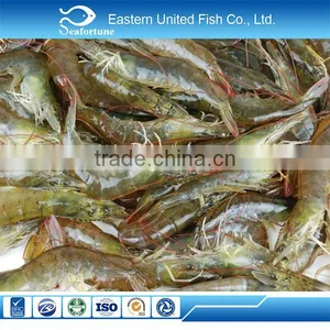 China Seafood Export Frozen P&d Shrimp thumbnail-1