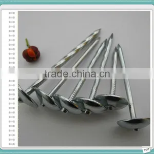 Galvanized Roofing Nails for Turkey Market thumbnail-5