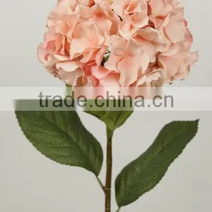 Stable Supplying Exporting Purchase Tahitian Tiare Flower thumbnail-1