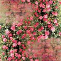 Digital Print Silk Shawl Manufacturer China thumbnail-1