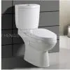 Toilet thumbnail-1