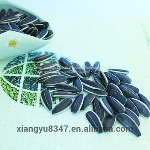 High Quality Export Sunflower Seeds Type 601 thumbnail-1
