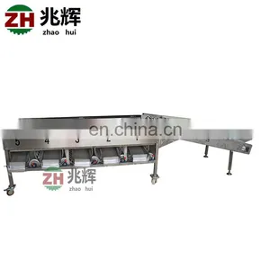 Efficient Vegetable and Fruit Sorting Machine/tomato Grader /orange Sorting Machine thumbnail-5