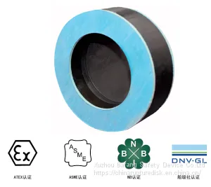 PM ,Flat Rupture Disc Device,bursting Disc, thumbnail-1