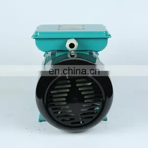 YL Power Motors Electric 220 Volt Asynchronous Capacitor 220v ac Single Phase 4hp Electric Motor thumbnail-2