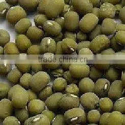 Organic Unpolished Mungbean thumbnail-1