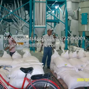 Customize 100T Maize Corn Flour Making Machine Ugali Nshima Fufu Production Line Semolina Machine thumbnail-3