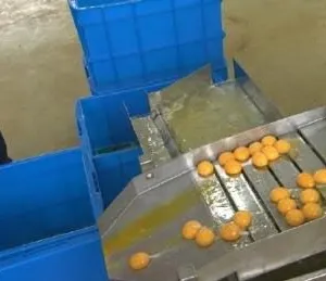 Egg Powder Processing Egg Yolk Drying Machine thumbnail-2