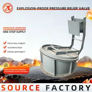 Explosion Relief Valve thumbnail-5