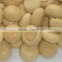Canned Button Mushroom thumbnail-1