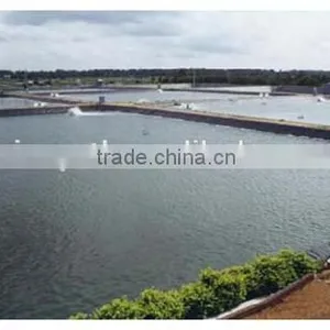 HDPE Geomembrane(1.0mm) for Fish Pond or Landfill Projects thumbnail-3
