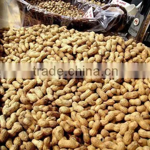 Washed Peanut in Shell 2012 CROP thumbnail-1