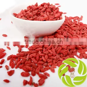 Organic Chinese Dried Goji Berry Promotional Fruit Tea Medlar Dried Wolfberry Herbal Tea thumbnail-1