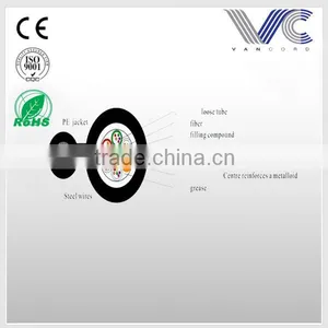 FrankEver 2-30 Core Optical Fiber Cable Aerial GYTC8Y Special Cable thumbnail-1