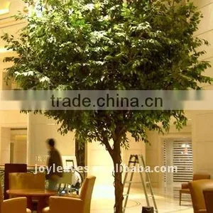 Larger Artificial Ficus thumbnail-1