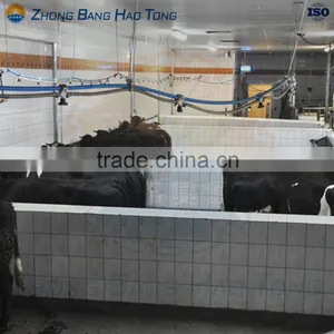 Cattle Lairage System for Big Scale Cattle Slaughterhouse Plant thumbnail-2