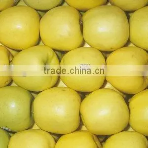 We Are Supply Fresh Golden Delicious With Best Prices for Sale thumbnail-2