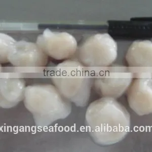 Squid Beaks thumbnail-3