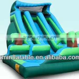 Giant Inflatable Water Slide for Adult thumbnail-1