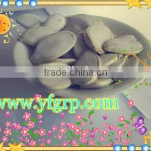 GWS Snow White Pumpkin Seeds Shine Skin Pumpkin Seeds Pumpkin Seeds With Shell Nutrition thumbnail-1