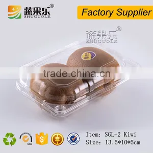 Disposable Plastic Kiwi Container 2 Slot PET Container thumbnail-6