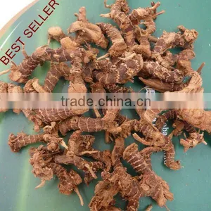 Dried Galangal Roots thumbnail-1