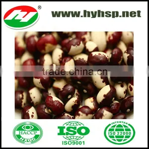 Speckled Kidney Beans thumbnail-1