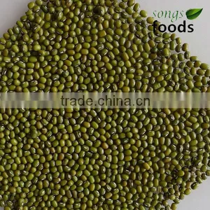 Round Type Green Mung Bean For Market thumbnail-1