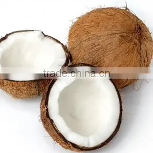 Bulk Sale for Semi Husked Coconuts thumbnail-2