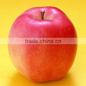 Shandong Fresh Red Star Apple thumbnail-1