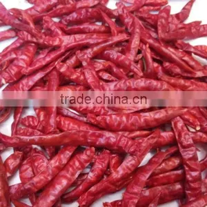 Premium Quality Indian Dry Red Chilli Exporters thumbnail-2