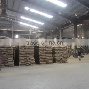 WASHED ARABICA GREEN COFFEE BEANS thumbnail-3