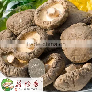 Dried Shitake Mushroom thumbnail-3